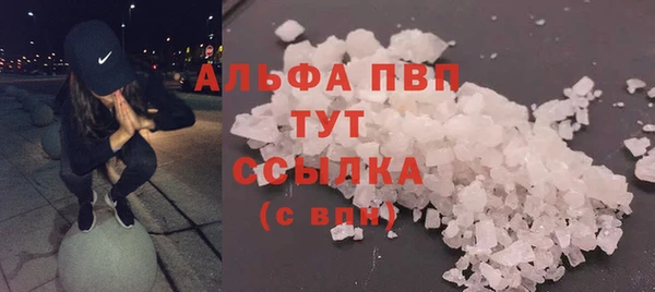 гашик Алексин