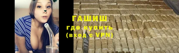 гашик Алексин