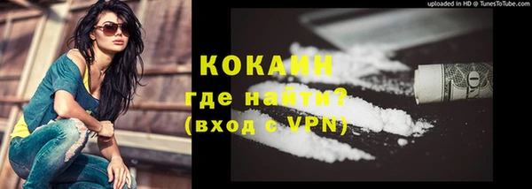 гашик Алексин
