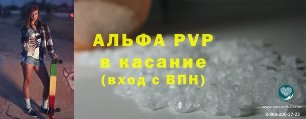 гашик Алексин