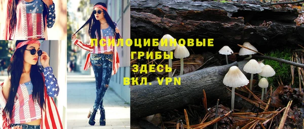 дмт Алексеевка