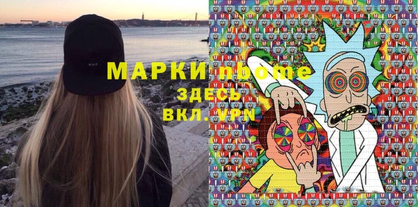 гашик Алексин