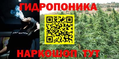 эйфоретик Ливны