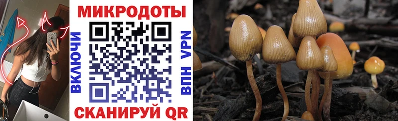 что такое наркотик  Каменск-Уральский  Псилоцибиновые грибы прущие грибы 
