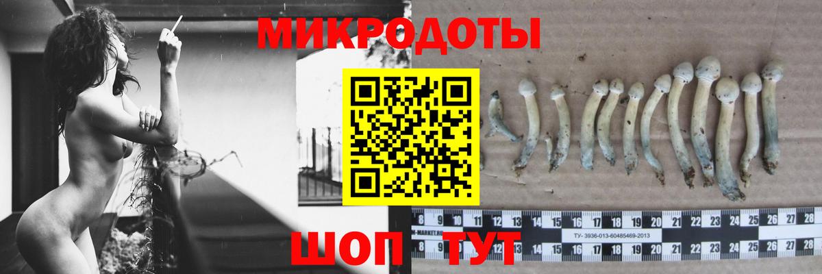 Галлюциногенные грибы MAGIC MUSHROOMS Каменск-Уральский