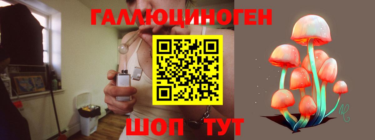 где продают   Псилоцибиновые грибы Cubensis  Псилоцибиновые грибы ЛСД  Вход с VPN  Каменск-Уральский 